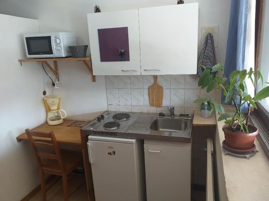 Cap Dauphine Διαμέρισμα Γκρενόμπλ Εξωτερικό φωτογραφία