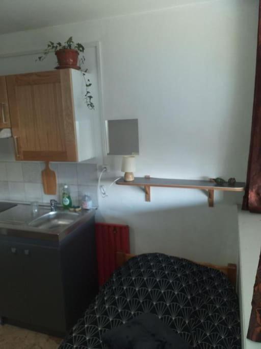 Cap Dauphine Διαμέρισμα Γκρενόμπλ Εξωτερικό φωτογραφία